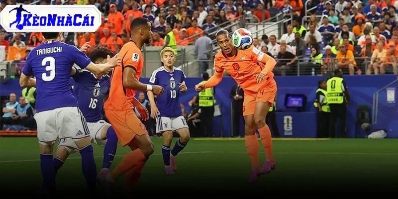 Nhật Bản cầm hòa Hà Lan 2-2 trong trận mở màn bảng F World Cup 2026 tại Dallas