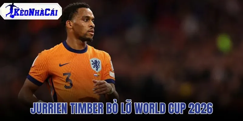 Jurrien Timber Bỏ Lỡ World Cup 2026