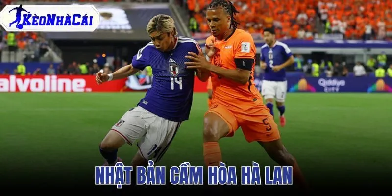 Nhật Bản Cầm Hòa Hà Lan